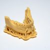 Dentifix resin for dental models