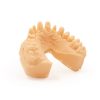 Resina per stampa 3D Harz Labs Dental Peach - immagine 2