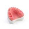 Resina per stampa 3D Harz Labs Dental Pink - immagine 2